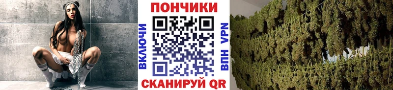 Купить Псилоцибиновые грибы  Меф мяу мяу  ГАШ  Конопля  Бугульма