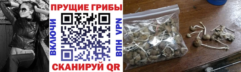 Галлюциногенные грибы мицелий  Купить закладки  Бугульма 